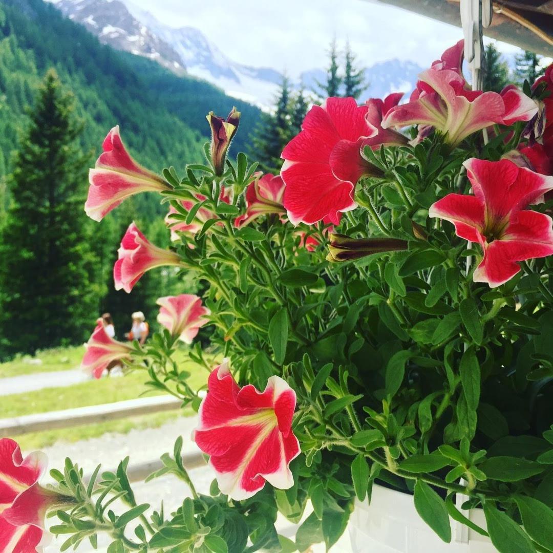 Hotel Gembro Chiesa in Valmalenco Εξωτερικό φωτογραφία